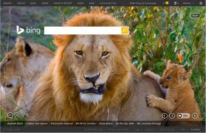 Grumpy Lion Dad with Cub